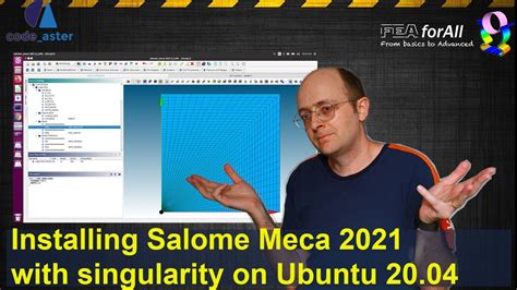 salome meca singularity
